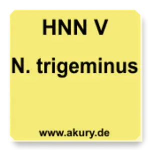 HNN V
