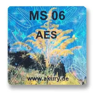 MS 06