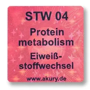 STW 04